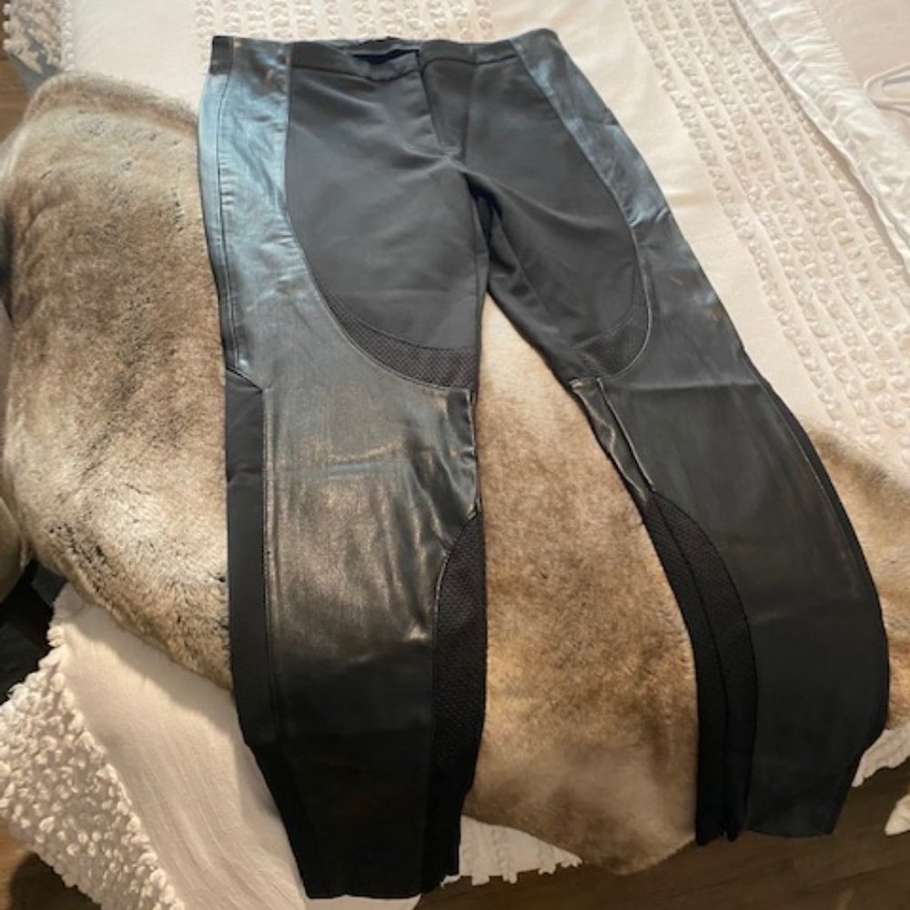 Zara Leather and Mesh Skinny Legging-Style Pants WORN ONCE!